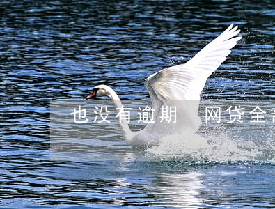 也没有逾期 网贷全部不通过 也没有逾期 网贷全部不通过